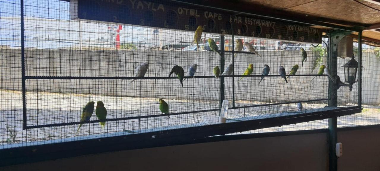 Grand Yayla Hotel Çeşme Kültér fotó