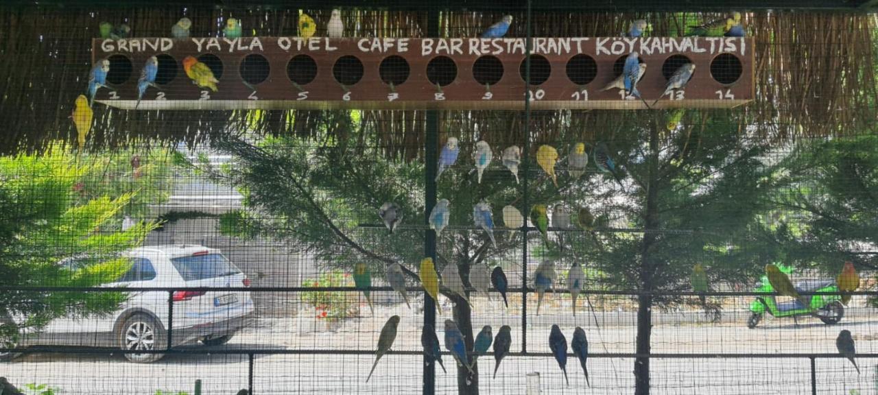Grand Yayla Hotel Çeşme Kültér fotó